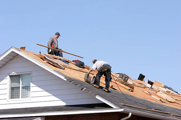 Best Roofing for New Construction  in East Brewton, AL